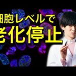 【老化停止】細胞を9年若返らせる方法