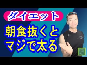 【ダイエット/朝食論争】朝ごはんは摂るべきか、それとも抜くべきか！食べた方がいい朝食‼