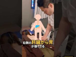 【Let Us Warm Life☀️】意外と知らない✅内臓と背中の関係！すご腕 鍼灸師GORI先生の温活講座🪡✨️#鍼灸 #health #fitness