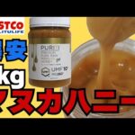 【コストコ購入品】PURITIピュリティマヌカハニー感想｜価格比較・味・口コミ・開封｜大容量でコスパヤバい！｜風邪インフル対策